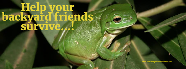 For Life is the greatest thing